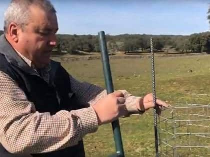 Installer autour de l'arbre